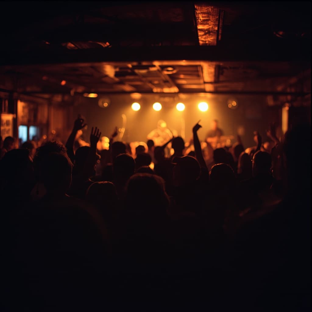 Concert crowd